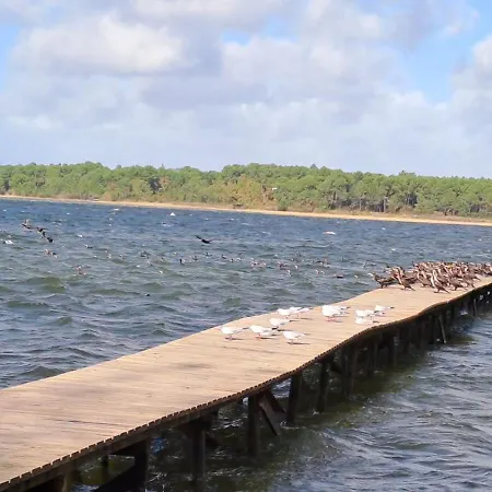 Ideal Tribu - & Ocean - 9p *