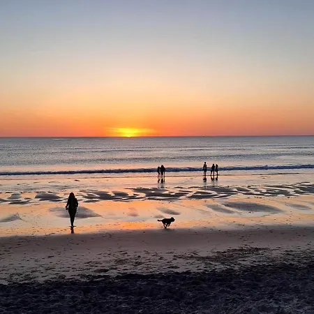 Ideal Tribu - & Ocean - 9p *